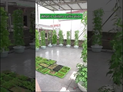 ガーデン屋内農業花びら水耕栽培タワー