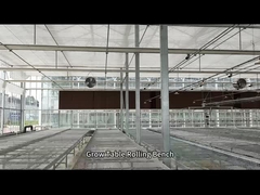 播種のためのメッシュ ワイヤー温室成長テーブル ローリング ベンチ