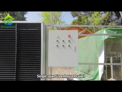 AX 温室ピーチポイントトップ単スパン温室プロジェクト