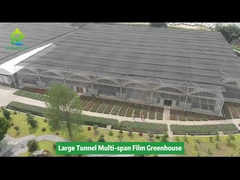 商業用マルチスパン大型フィルム温室プロジェクト