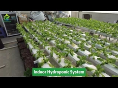垂直農法無土壌栽培水耕栽培NFT角パイプシステム