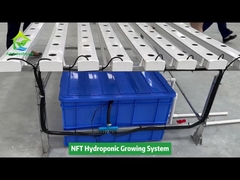 垂直農法無土壌栽培水耕栽培NFT角パイプシステムシステム