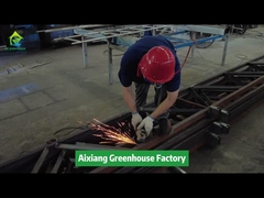中国の温室工場