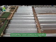 シングルスパン鋸歯状熱帯プラスチックフィルム温室