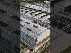 現代のインテリジェントなフェンロー ポリカーボネート パネル マルチスパン太陽光発電温室