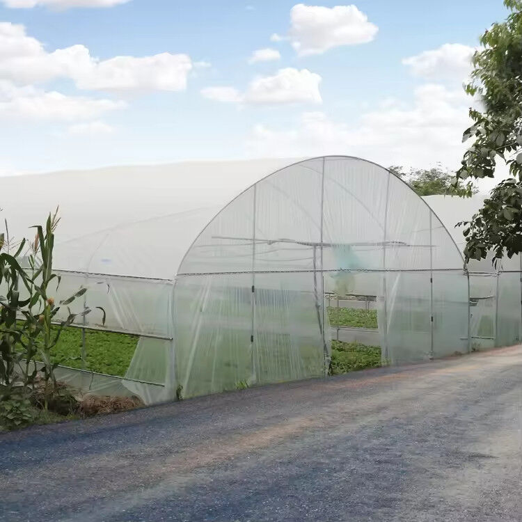 低価格 プラスチックPEフィルム 紫外線耐性 単段 野菜 果物 シェード 温室テント