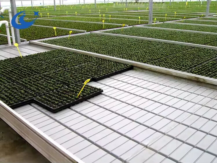 温室 ローリングベンチ トマト 植物の種を植えるテーブル エブと流れ灌輸システム