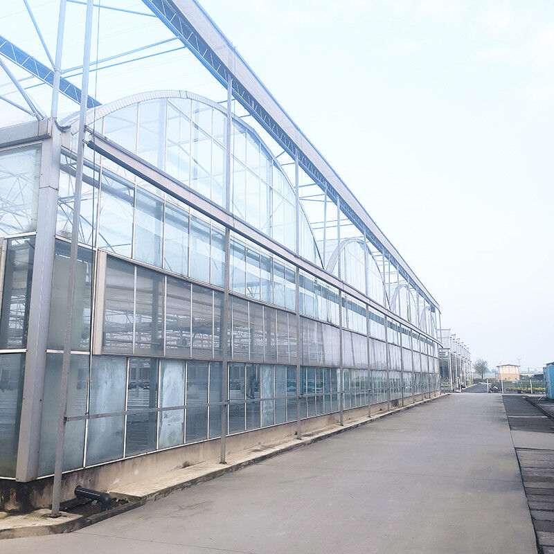 産業 農業 贅沢 ベンロ 温室 草木温室 安定した構造と暖房システム