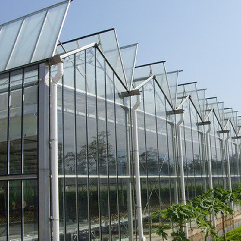 農園 農園 植物 種植 グラス温室