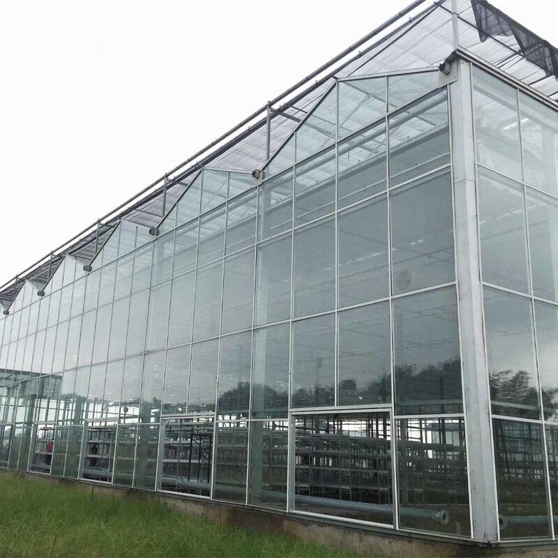 農園 農園 植物 種植 グラス温室