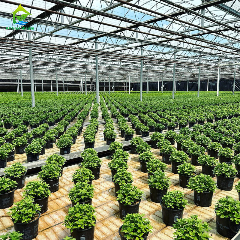 インテリジェント 温めガラス 透明 温室 大型 多スパン 熱浸し 鋼管 農業用 グラス 温室 植物の花栽培